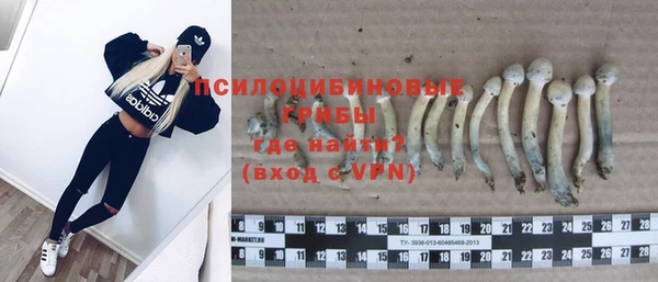 меф Пестово