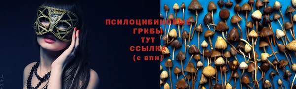 меф Пестово