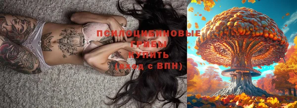 мет Пересвет