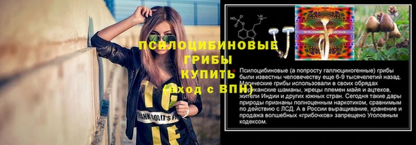мет Пересвет