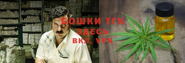 мет Пересвет