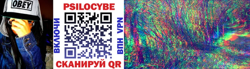 Псилоцибиновые грибы Psilocybine cubensis  Купить где  Кочубеевское 